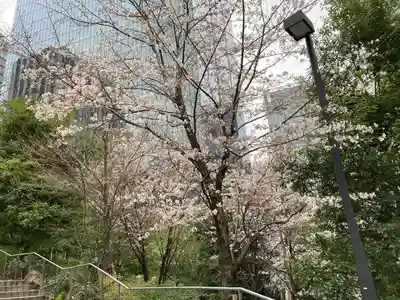 虎ノ門金刀比羅宮(東京都)