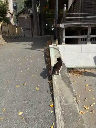 奥氷川神社(東京都)