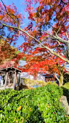 勝尾寺(大阪府)