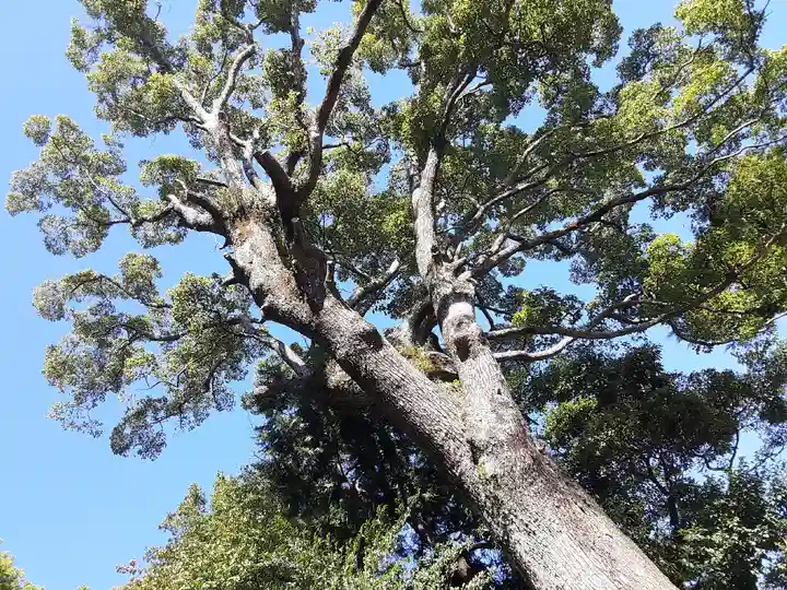 居神神社(神奈川県)