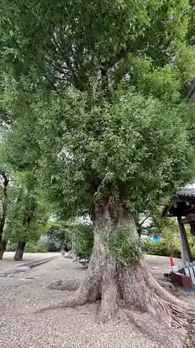 田中神社(京都府)