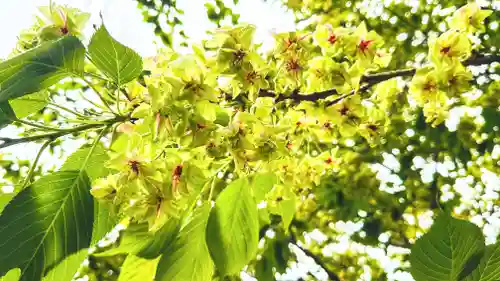 織田神社(福井県)