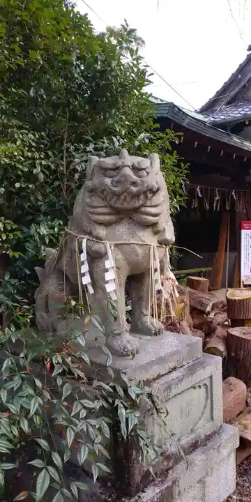 大石神社の狛犬