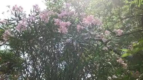 秋葉神社(東京都)