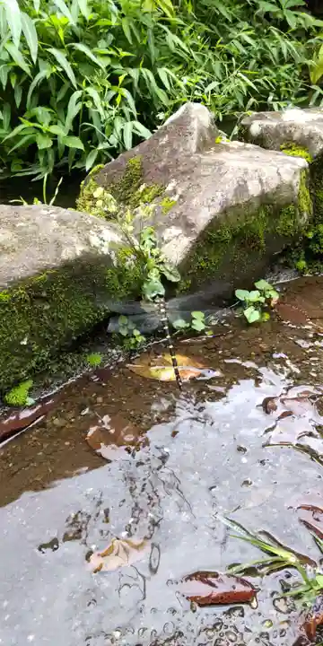 深大寺(東京都)