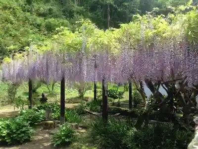 妙福寺(千葉県)