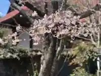 木舟山 順教寺の自然