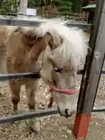 平塚八幡宮(神奈川県)