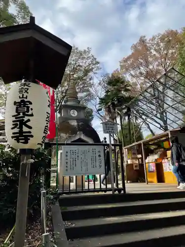 寛永寺(根本中堂)のその他建物