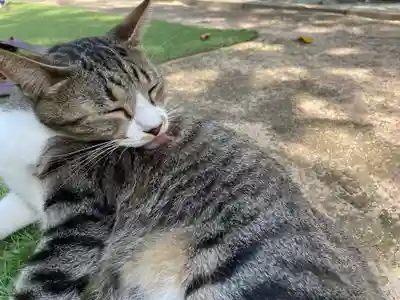 王子神社(徳島県)
