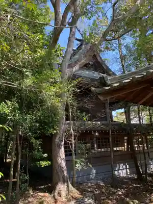 淡河八幡神社の本殿・本堂