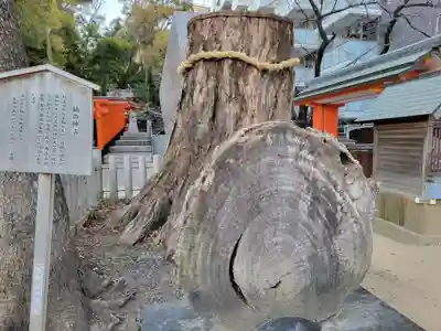 生田神社(兵庫県)