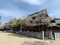 大阪天満宮(大阪府)