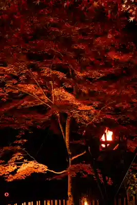 北野天満宮(京都府)