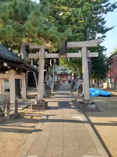 柴又八幡神社(東京都)