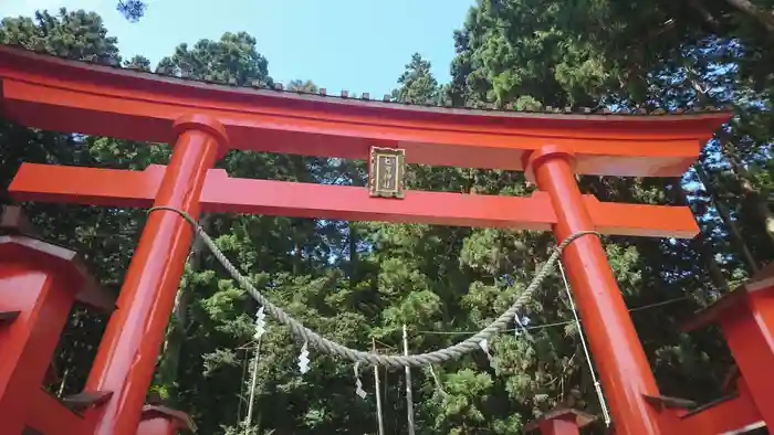 七崎神社の鳥居