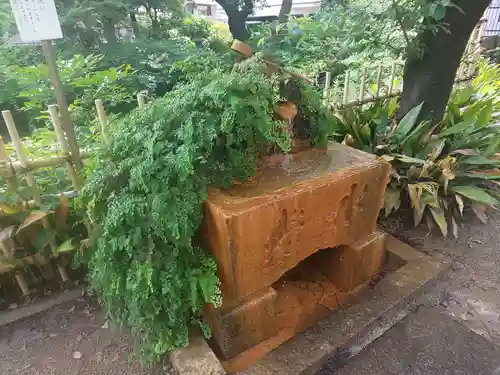 瀧泉寺（目黒不動尊）の手水舎