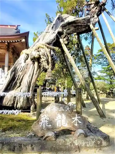 新北神社の自然
