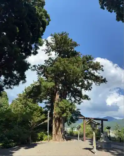 福島大神宮(北海道)