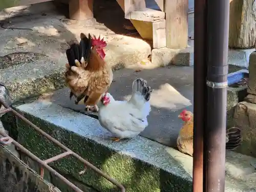 忌宮神社(山口県)