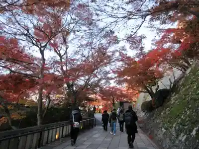 清水寺(京都府)