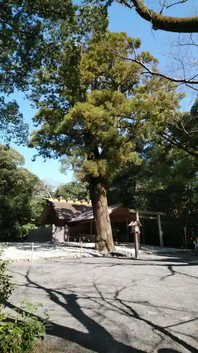 月夜見宮(豊受大神宮別宮)の自然