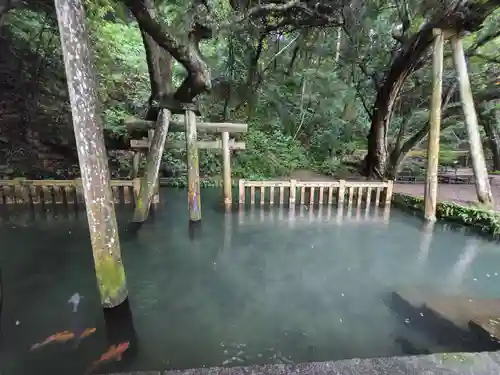 鹿島神宮(茨城県)