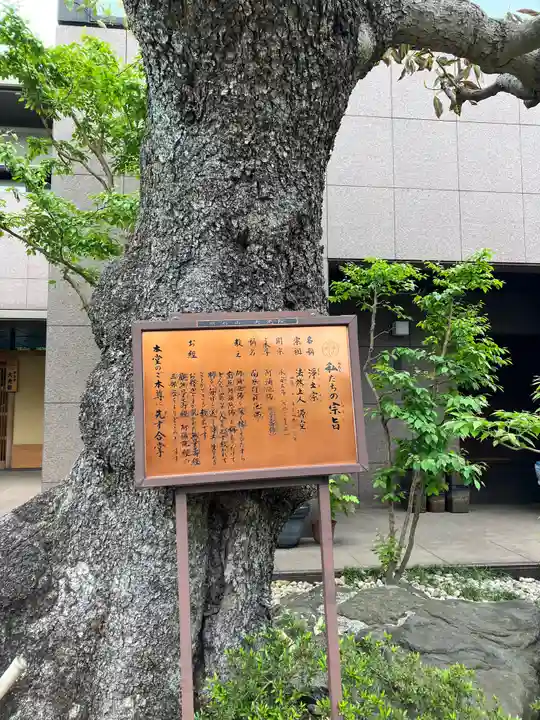 大光院(神奈川県)