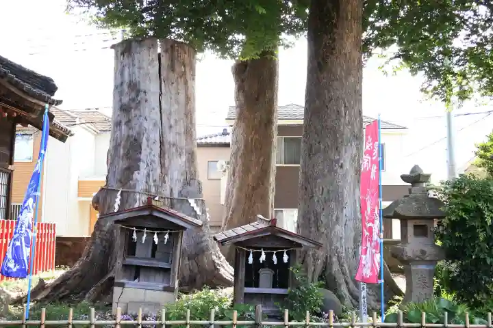 八枝神社(埼玉県)
