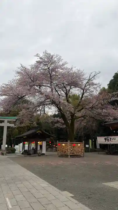 出雲大社相模分祠の{uncategorized: "未分類", other: "その他", undefined: "問題あり", building: "その他建物", grave: "お墓", sacred_gate: "鳥居", guardian: "狛犬", statue: "像", buddha: "仏像", history: "歴史", nature: "自然", garden: "庭園", animal: "動物", pagoda: "塔", temizu: "手水舎", mountain_gate: "山門・神門", sanctuary: "本殿・本堂", subordinate: "末社・摂社", art: "芸術", scenery: "景色", jizo: "地蔵", ema: "絵馬", goshuin: "御朱印", omikuji: "おみくじ", items: "授与品その他", amulet: "お守り", goshuincho: "御朱印帳", eats: "食事", festival: "お祭り", votive_dance: "神楽", shichigosan: "七五三参", wedding: "結婚式", experience: "体験その他", initially: "初詣", around: "周辺", anti_infection: "感染症対策"}