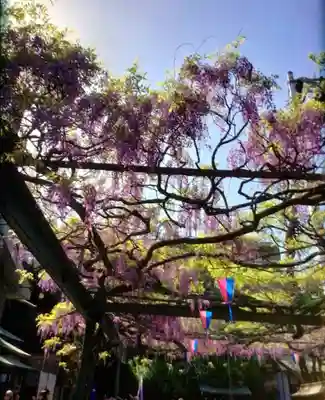 國領神社(東京都)