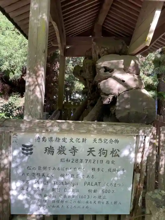 瑞巌寺(徳島県)