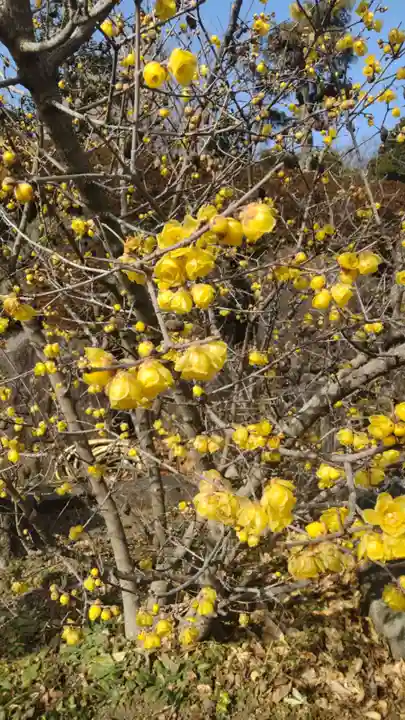 横浜 西方寺(神奈川県)