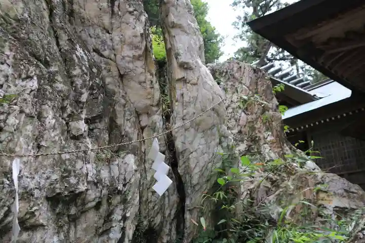 鹿島大神宮の自然