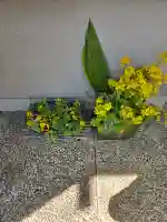 蓮馨寺の{uncategorized: "未分類", other: "その他", undefined: "問題あり", building: "その他建物", grave: "お墓", sacred_gate: "鳥居", guardian: "狛犬", statue: "像", buddha: "仏像", history: "歴史", nature: "自然", garden: "庭園", animal: "動物", pagoda: "塔", temizu: "手水舎", mountain_gate: "山門・神門", sanctuary: "本殿・本堂", subordinate: "末社・摂社", art: "芸術", scenery: "景色", jizo: "地蔵", ema: "絵馬", goshuin: "御朱印", omikuji: "おみくじ", items: "授与品その他", amulet: "お守り", goshuincho: "御朱印帳", eats: "食事", festival: "お祭り", votive_dance: "神楽", shichigosan: "七五三参", wedding: "結婚式", experience: "体験その他", initially: "初詣", around: "周辺", anti_infection: "感染症対策"}