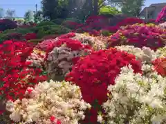 根津神社の庭園