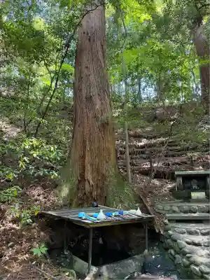 天岩戸神社(宮崎県)