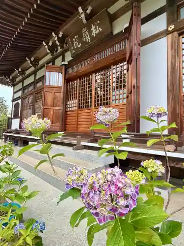 円覚寺(神奈川県)