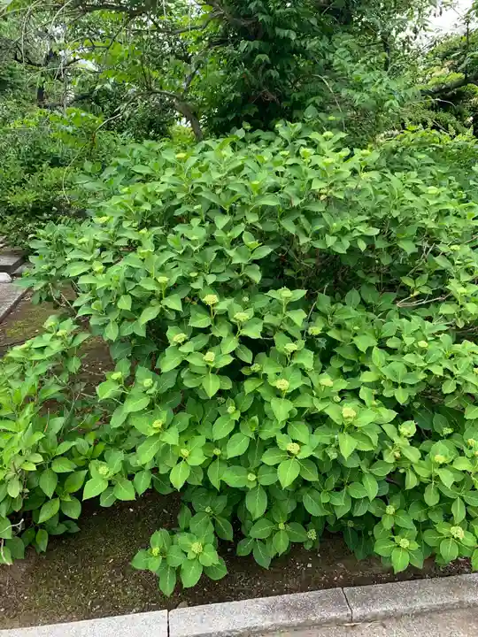 法華寺(埼玉県)