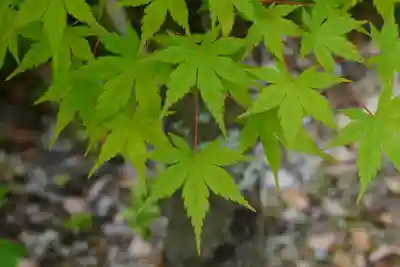 円成寺(奈良県)