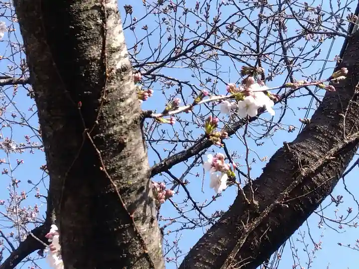 三谷稲荷社(水車稲荷社)(京都府)