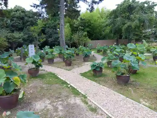 西大寺(奈良県)