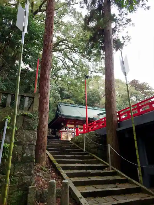 八幡朝見神社の自然
