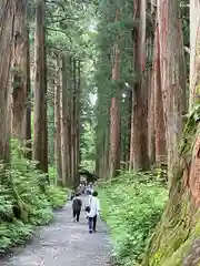 戸隠神社奥社(長野県)