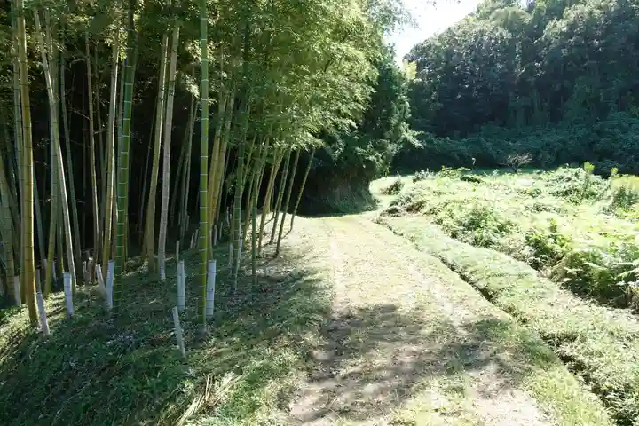 高田山口神社の自然