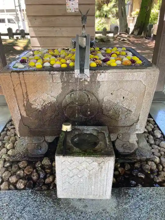 上野総社神社(群馬県)