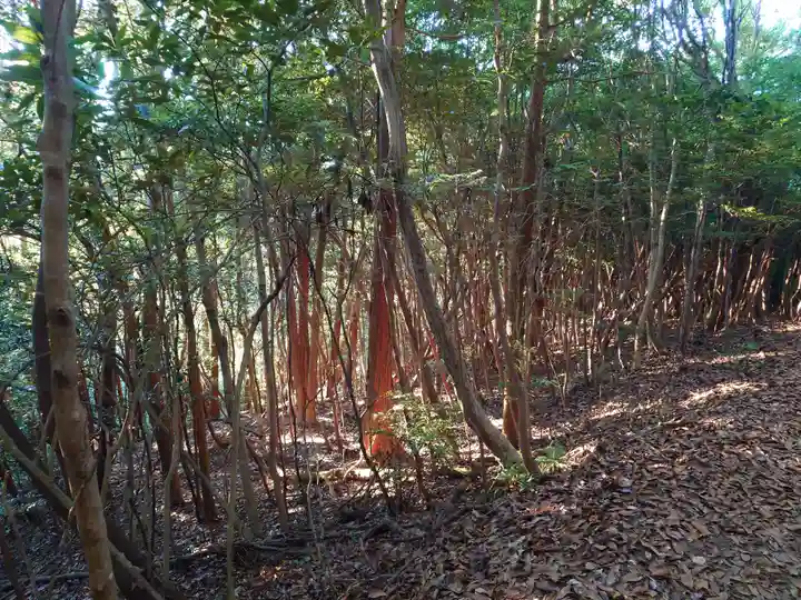大元神社(宇佐神宮奥宮)(大分県)