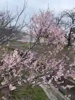 雪御所地蔵尊(兵庫県)