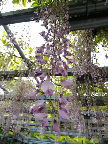 阿智神社の自然