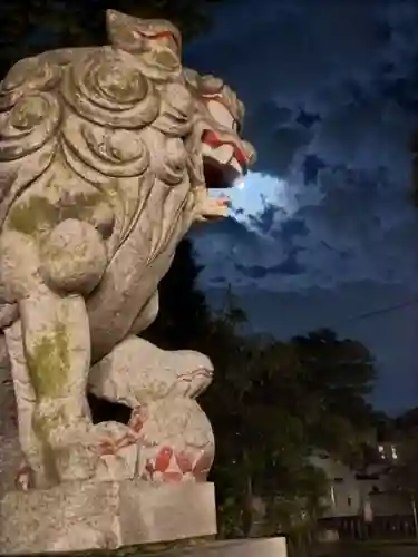 相模原氷川神社(神奈川県)